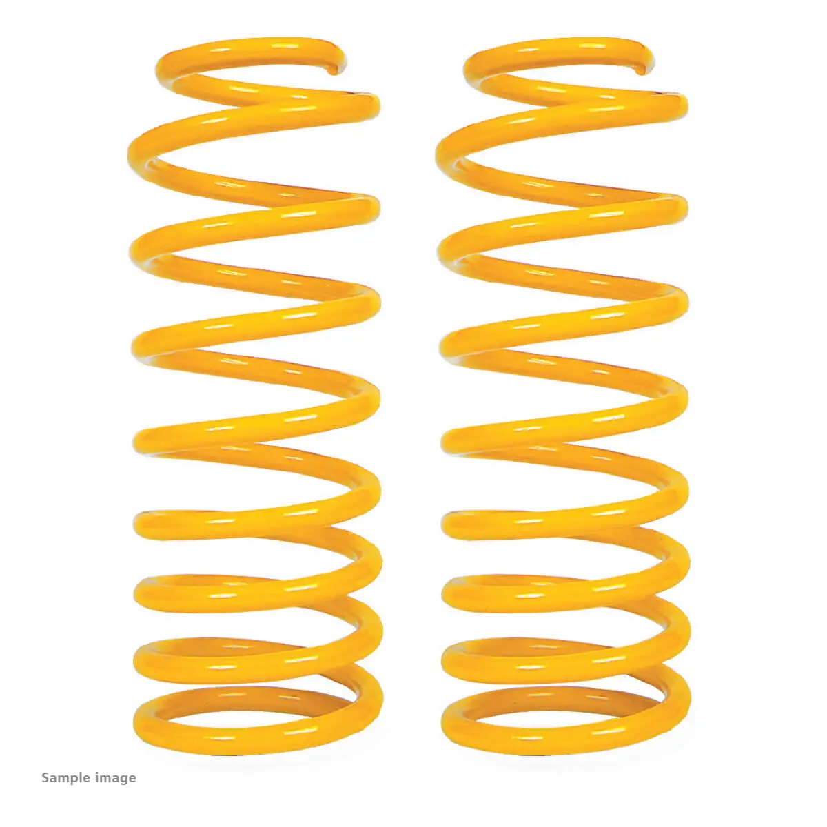 XGS COIL SPRINGS REAR 100KG PAIR