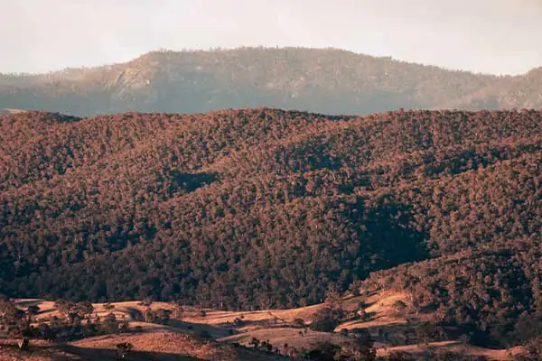 The Brindabellas