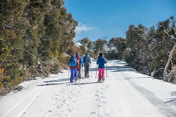 High Country Victoria